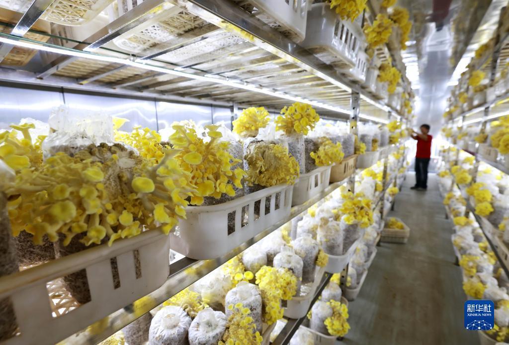 318全迅网送38彩金